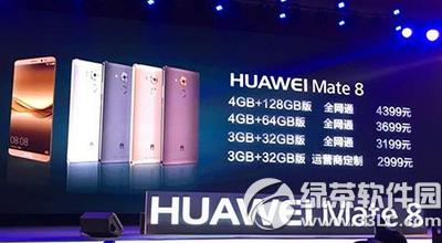 Amate8ô؈D Amate8DĽ̳