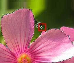 ʹAdobe Photoshop CS6gifӮ