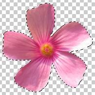 ʹAdobe Photoshop CS6gifӮ