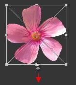 ʹAdobe Photoshop CS6gifӮ