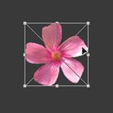 ʹAdobe Photoshop CS6gifӮ