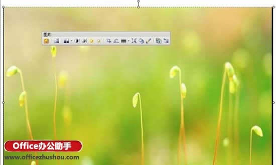 ʹ��WPS��ʾ��ĸ�湦�܌��F�ß�Ƭ�ı����O��