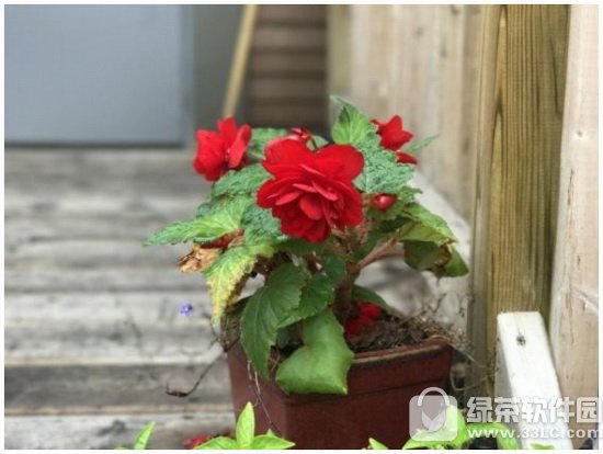 iphone7plus͘sҫ8Ă Asҫ8iphone7plus4