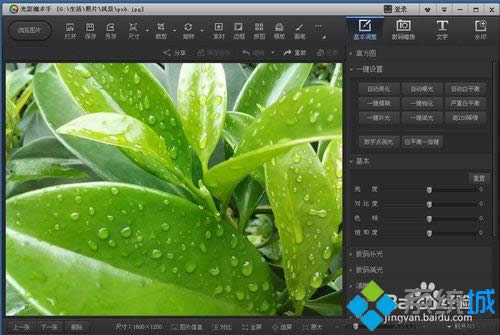 ��Ӱħ�g�ֳ���