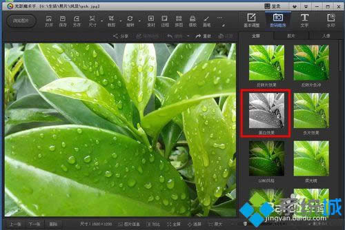 win8ϵ�y�\�ù�Ӱħ�g��ܛ������ɫ�DƬ׃��ڰ׈DƬ���k��